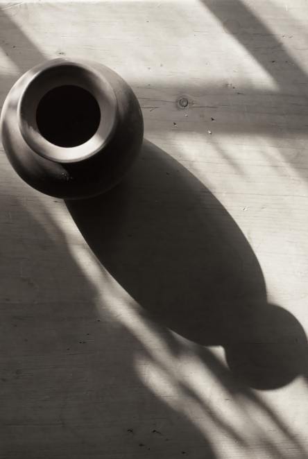 flowers-table-lighting-shadows-3187551