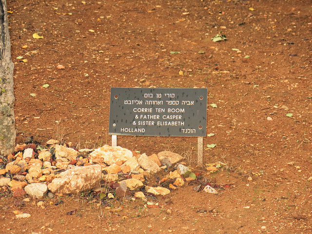 22668594754_47fea0160c_z