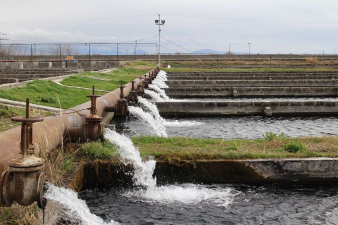 Masis_Dzuk_Fish_Farm_in_Armenia