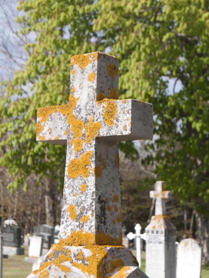 silhouette-1372347-pxhere.com