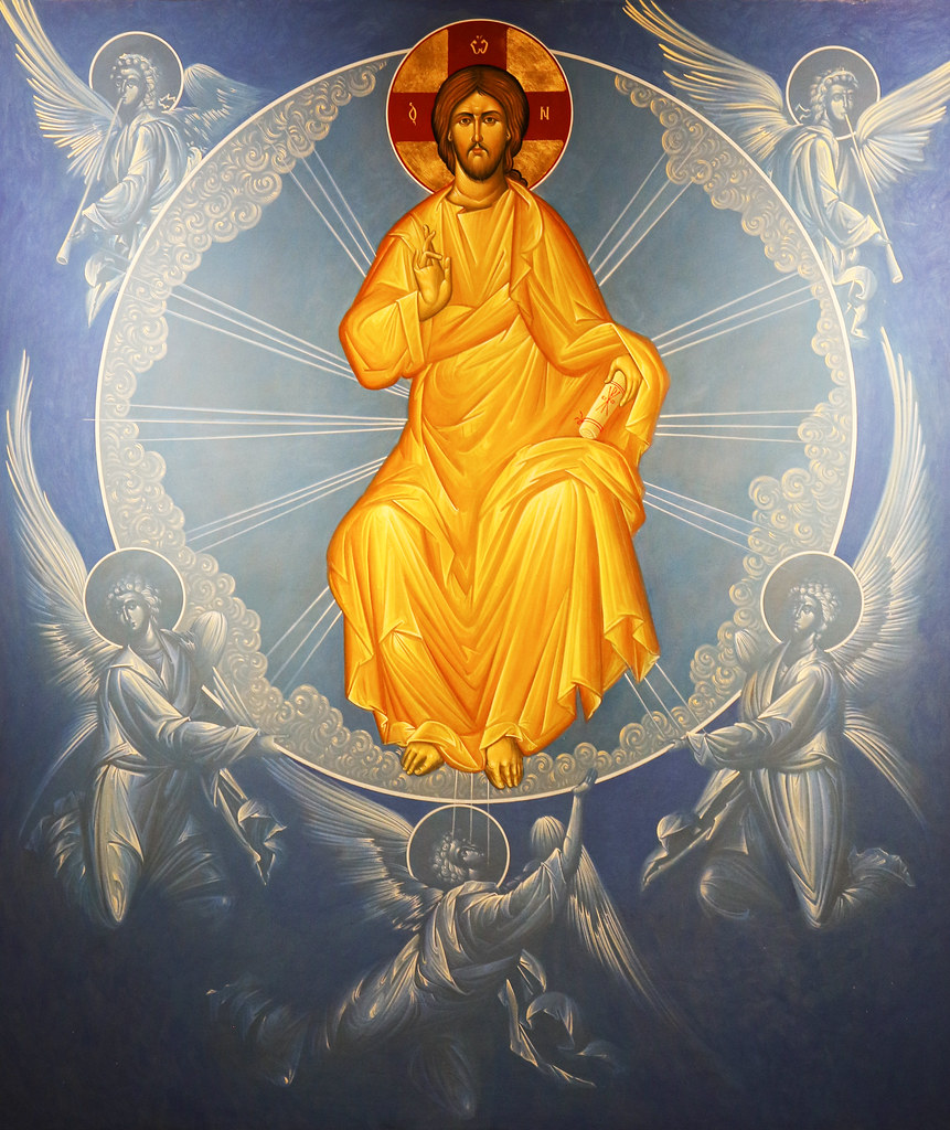 47963738563_7905408fda_b